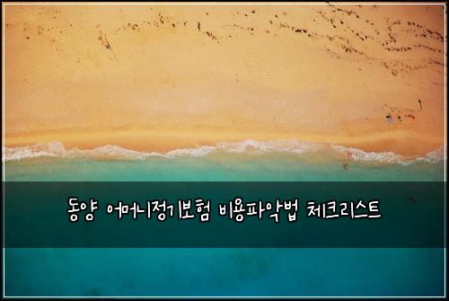 동양 어머니정기보험 비용파악법  체크리스트