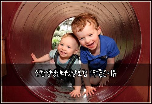 신한생명인터넷암보험 딱좋은이유 