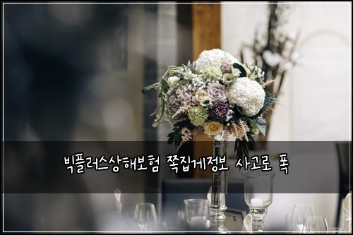 빅플러스상해보험 쪽집게정보  사고로 폭