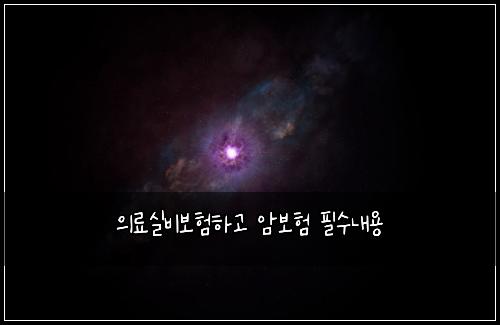 의료실비보험하고 암보험 필수내용