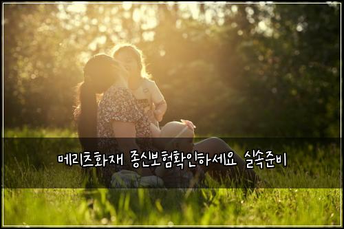 메리츠화재 종신보험확인하세요 실속준비