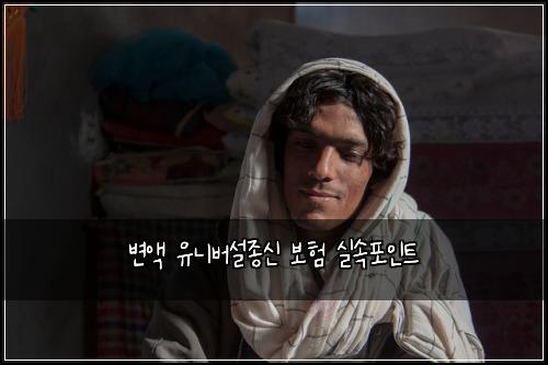 변액 유니버설종신 보험 실속포인트 