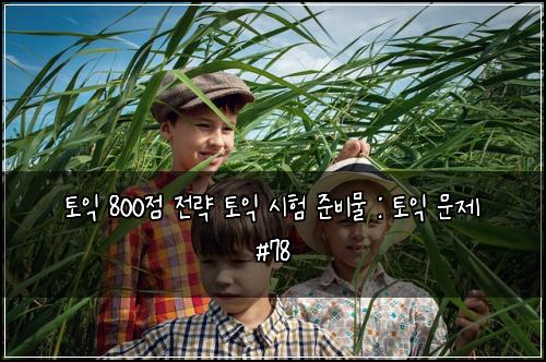 토익 800점 전략 토익 시험 준비물 : 토익 문제 #78