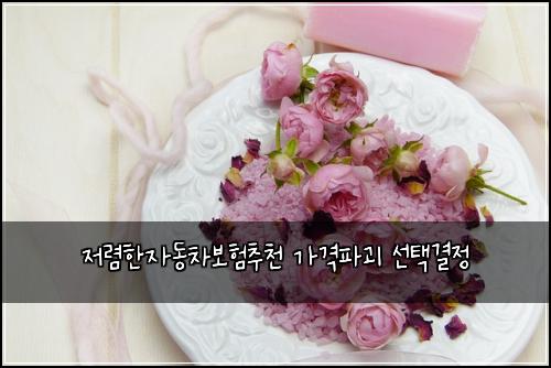 ์ ๋ ดํ์๋์ฐจ๋ณดํ์ถ์ฒ ๊ฐ๊ฒฉํ๊ดด ์ ํ๊ฒฐ์ 