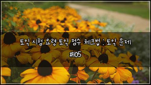 토익 시험 요령 토익 점수 체크법 : 토익 문제 #105