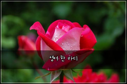 ์์ด ํ ๋ง๋