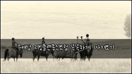 무배당 리빙플랜종신보험 똑똑하게 따져보기