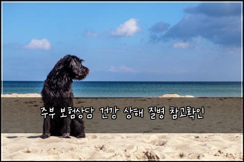 ์ฃผ๋ถ ๋ณดํ์๋ด ๊ฑด๊ฐ ์ํด ์ง๋ณ ์ฐธ๊ณ ํ์ธ