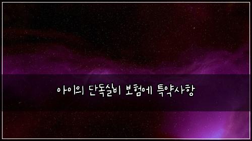 아이의 단독실비 보험에 특약사항