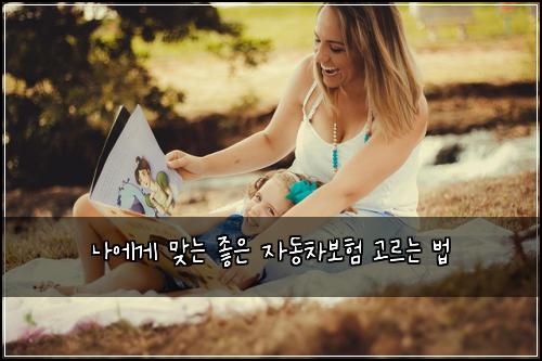 나에게 맞는 좋은 자동차보험 고르는 법