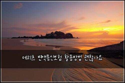 ๋ฉ๋ฆฌ์ธ ๋ณ์ก์ข
์ ๋ณดํ ํ์ฉ๋ฐฉ๋ฒ ๊ด์ฐฎ๋์