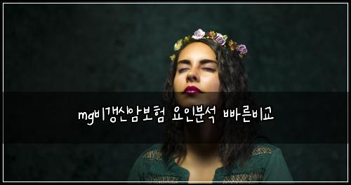 mg비갱신암보험 요인분석  빠른비교