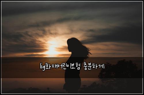 lig화재어린이보험 충분하게 
