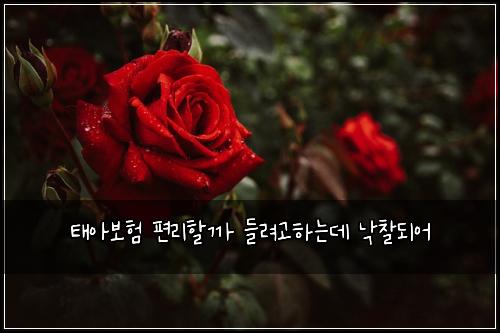 ํ์๋ณดํ ํธ๋ฆฌํ ๊น ๋ค๋ ค๊ณ ํ๋๋ฐ ๋์ฐฐ๋์ด