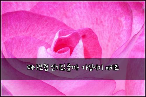 태아보험 인기있을까  가입시기 m키즈