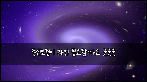 종신보험이 과연 필요할까요 굿굿굿
