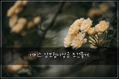 ์์ด์ค ์๋ณดํ์ฌ๋ง๊ธ ์กฐ๊ฑด์ข๊ฒ
