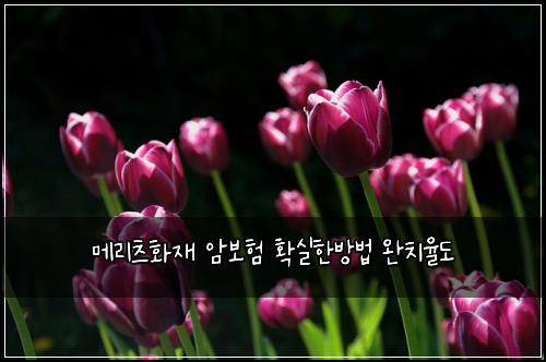 ๋ฉ๋ฆฌ์ธ ํ์ฌ ์๋ณดํ ํ์คํ๋ฐฉ๋ฒ ์์น์จ๋