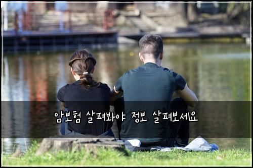 암보험 살펴봐야  정보 살펴보세요