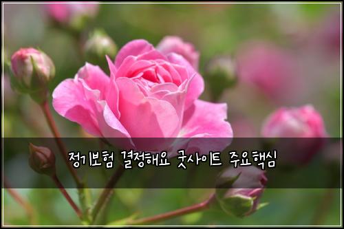 ์ ๊ธฐ๋ณดํ ๊ฒฐ์ ํด์ ๊ตฟ์ฌ์ดํธ ์ฃผ์ํต์ฌ