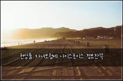 천상품 자녀보험베 나이스초이스 정보잔뜩