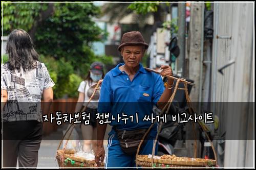 ์๋์ฐจ๋ณดํ ์ ๋ณด๋๋๊ธฐ ์ธ๊ฒ ๋น๊ต์ฌ์ดํธ