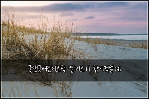 굿앤굿어린이보험 빨리보기  합리적설계