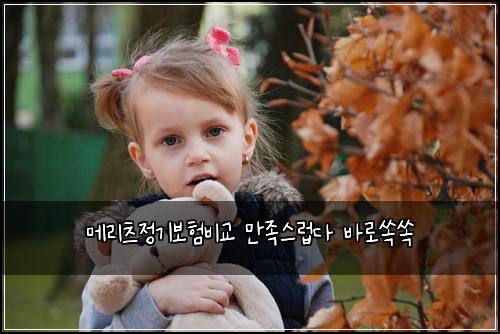 λ©λ¦¬μΈ μ 기보νλΉκ΅ λ§μ‘±μ€λ½λ€ λ°λ‘μμ