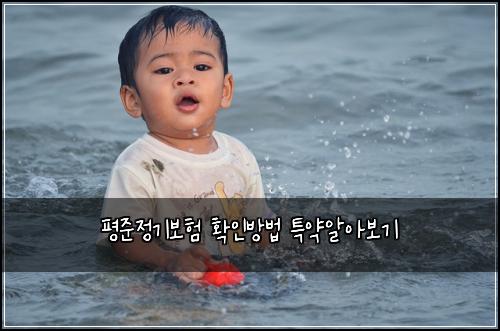 ํ์ค์ ๊ธฐ๋ณดํ ํ์ธ๋ฐฉ๋ฒ ํน์ฝ์์๋ณด๊ธฐ