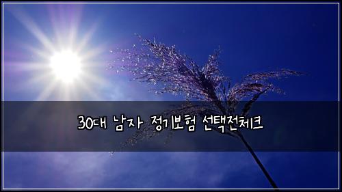 30대 남자 정기보험 선택전체크 