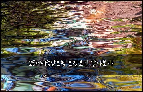 25์ธ์ฌ์ฑ์๋ณดํ ๋ณด์ฅ๋ณด๊ธฐ ์์๋ณด์