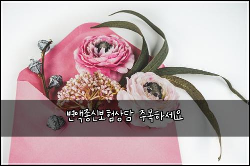 변액종신보험상담 주목하세요