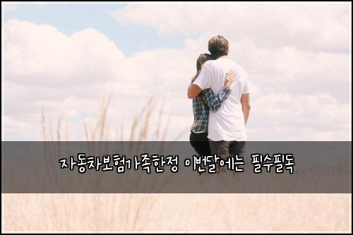 자동차보험가족한정 이번달에는 필수필독