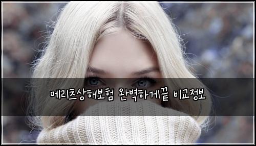 메리츠상해보험 완벽하게끝  비교정보