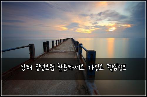 ์ํด ์ง๋ณ๋ณดํ ํ์ฉํ์ธ์ ๊ฐ์
์ ํต์ฌ์ ๋ณด
