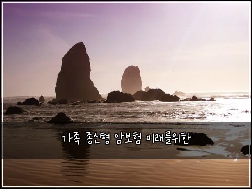 κ°μ‘± μ’
μ ν μ보ν λ―Έλλ₯Όμν