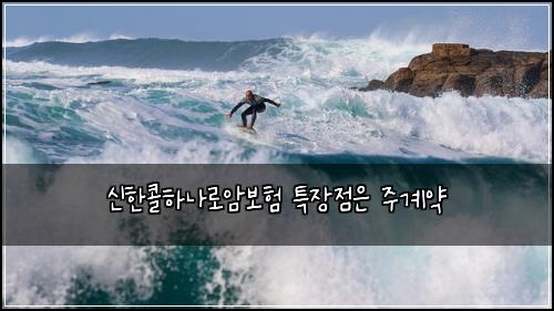 신한콜하나로암보험 특장점은  주계약