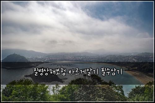 질병상해보험 바르게알기  필수삼기