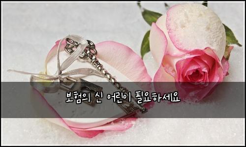 ๋ณดํ์ ์ ์ด๋ฆฐ์ด ํ์ํ์ธ์