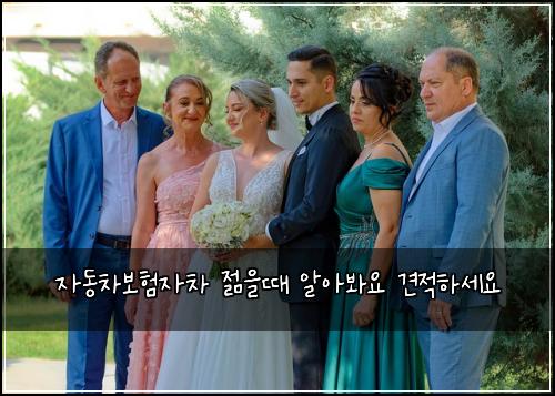 자동차보험자차 젊을때 알아봐요 견적하세요