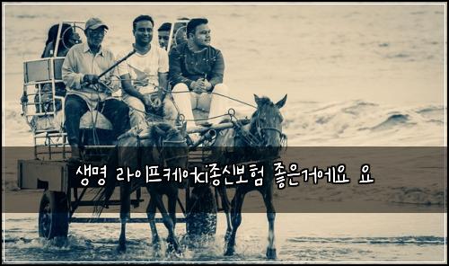 생명 라이프케어ci종신보험 좋은거에요  요