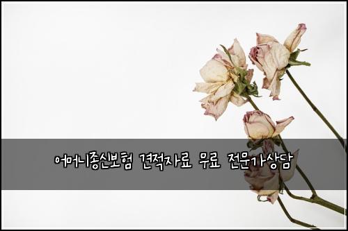 어머니종신보험 견적자료  무료 전문가상담