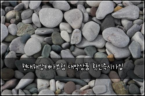 ํ๋ํด์ํ์๋ณดํ ๋๋ฐ์ํ ํ์ธ์ฆ์๊ฐ์