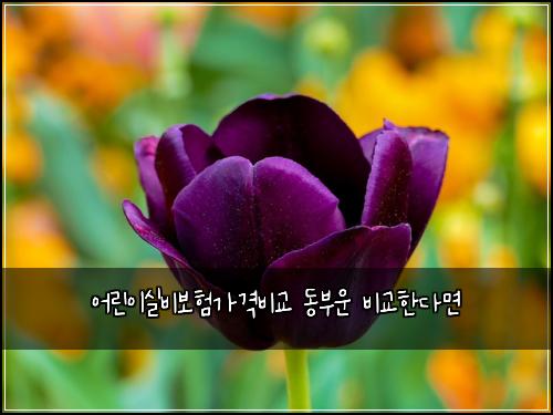 ์ด๋ฆฐ์ด์ค๋น๋ณดํ๊ฐ๊ฒฉ๋น๊ต ๋๋ถ์ด ๋น๊ตํ๋ค๋ฉด