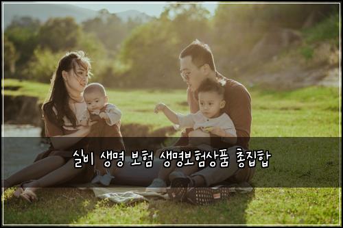 실비 생명 보험 생명보험상품 총집합