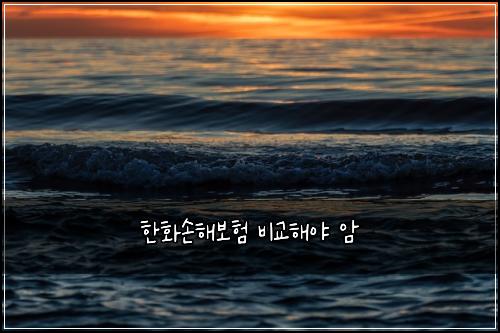 한화손해보험 비교해야  암