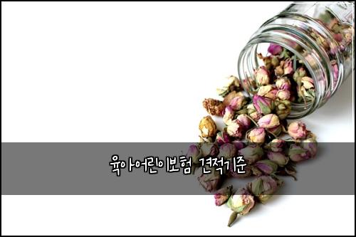 μ‘μμ΄λ¦°μ΄λ³΄ν 견μ κΈ°μ€