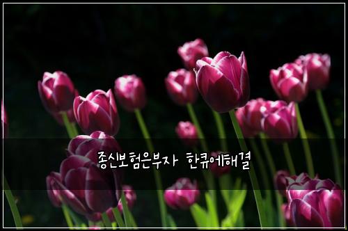 ์ข
์ ๋ณดํ์๋ถ์ ํํ์ํด๊ฒฐ