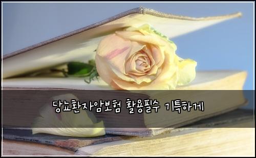 당뇨환자암보험 활용필수  기특하게