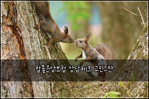 ์ฐธ์ข์์๋ณดํ ์๋ด์ฒดํฌ ๊ณ ๋ฏผ๊ทธ๋ง